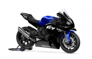 R1 GYTR (25)